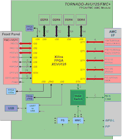 Block diagram for TORNADO-AVU125/FMC+ AMC-module with Virtex Ultrascale FPGA and FMC+ site